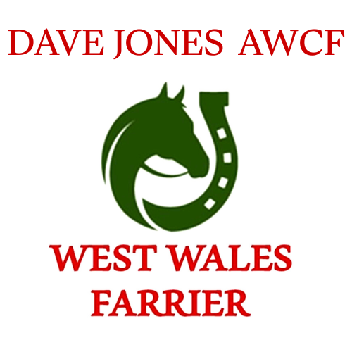 Dave Jones AWCF West Wales Farrier